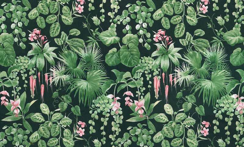 giấy dán tường màu xanh rêu giấy dán tường màu xanh rêu