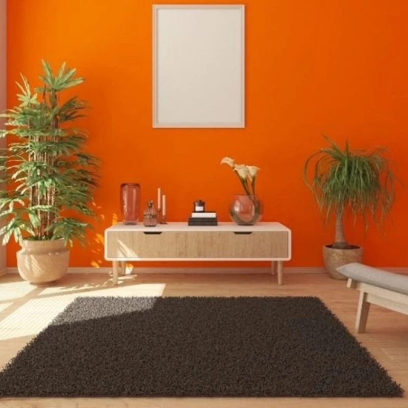 Chọn mua và thi công giấy dán tường màu cam trơn tại Tường Vinh