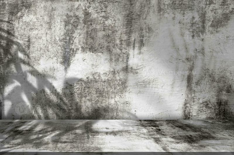 giấy dán tường studio chụp ảnh