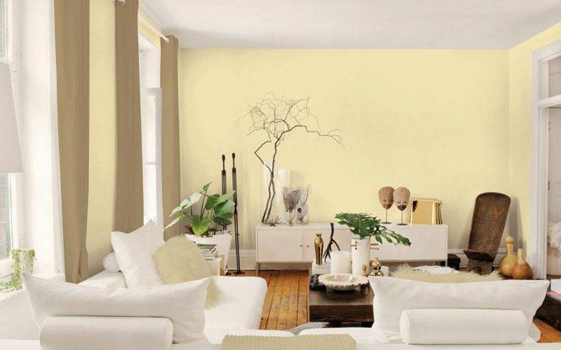 Giấy dán tường màu hột gà Giấy dán tường màu hột gà