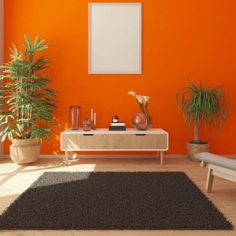 Chọn mua và thi công giấy dán tường màu cam trơn tại Tường Vinh