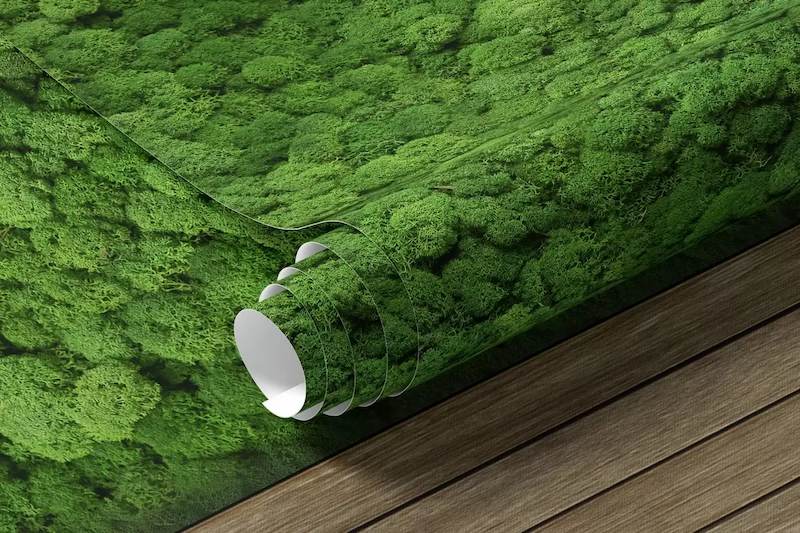 giấy dán tường xanh rêu giấy dán tường xanh rêu