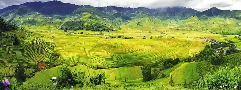 Tranh ruộng bậc thang ở M'Đrắk